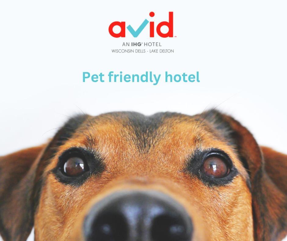 Avid Hotel Wisconsin Dells Lake Delton By Ihg 外观 照片